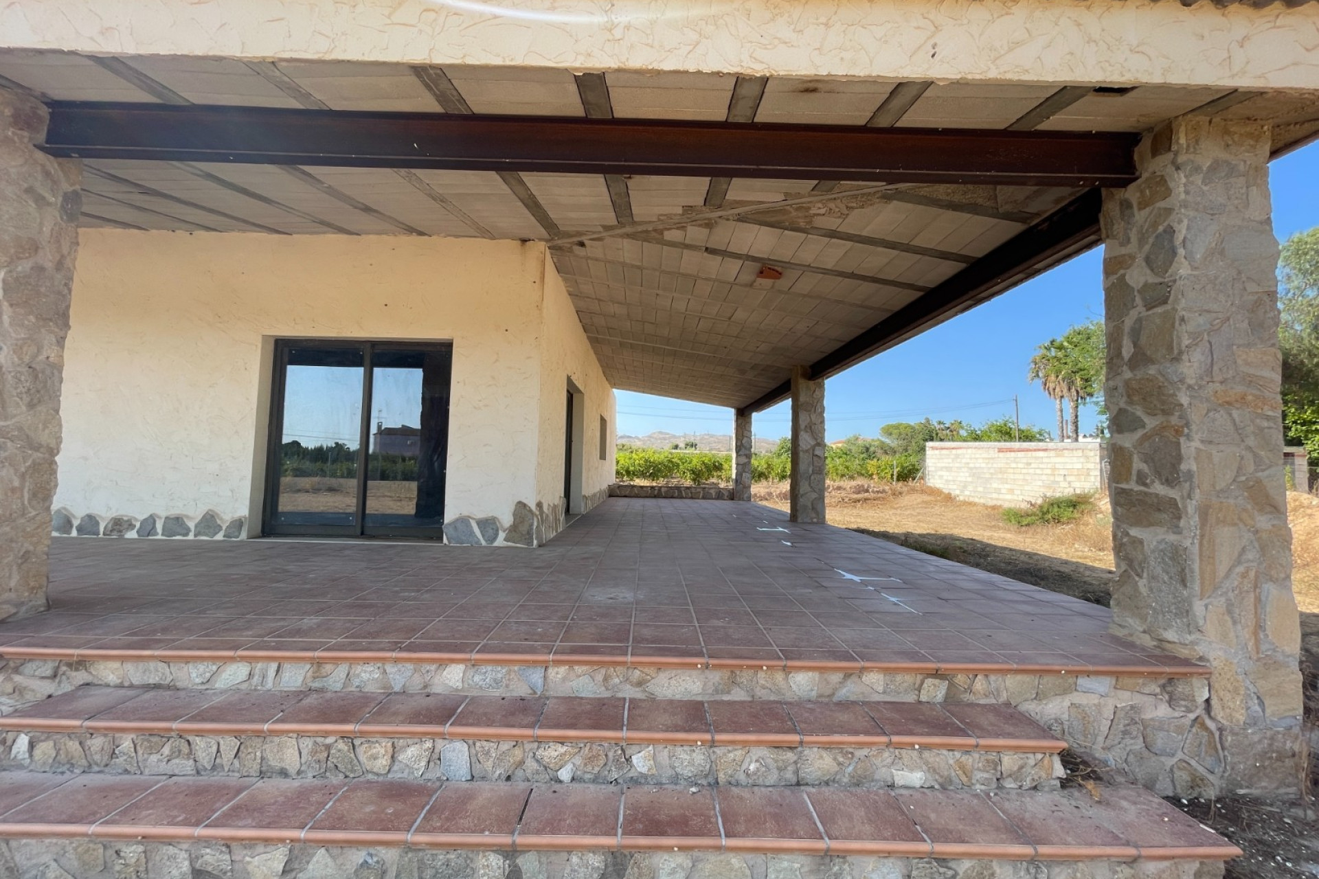Herverkoop - Finca / Landgoed - Elche - Matola