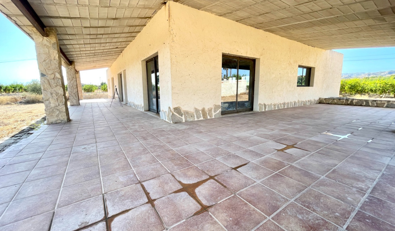 Herverkoop - Finca / Landgoed - Elche - Matola