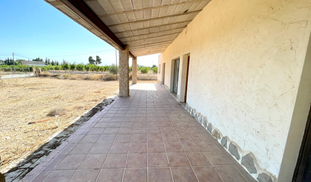Herverkoop - Finca / Landgoed - Elche - Matola