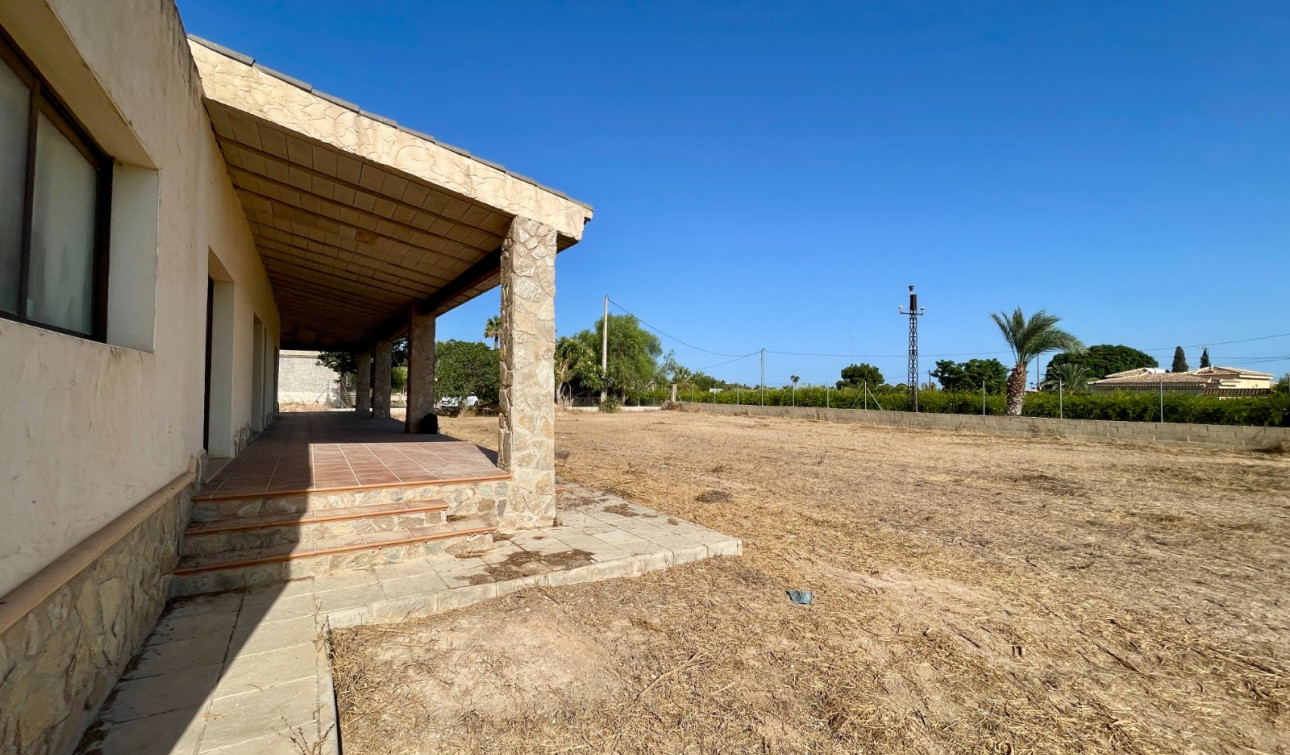 Herverkoop - Finca / Landgoed - Elche - Matola