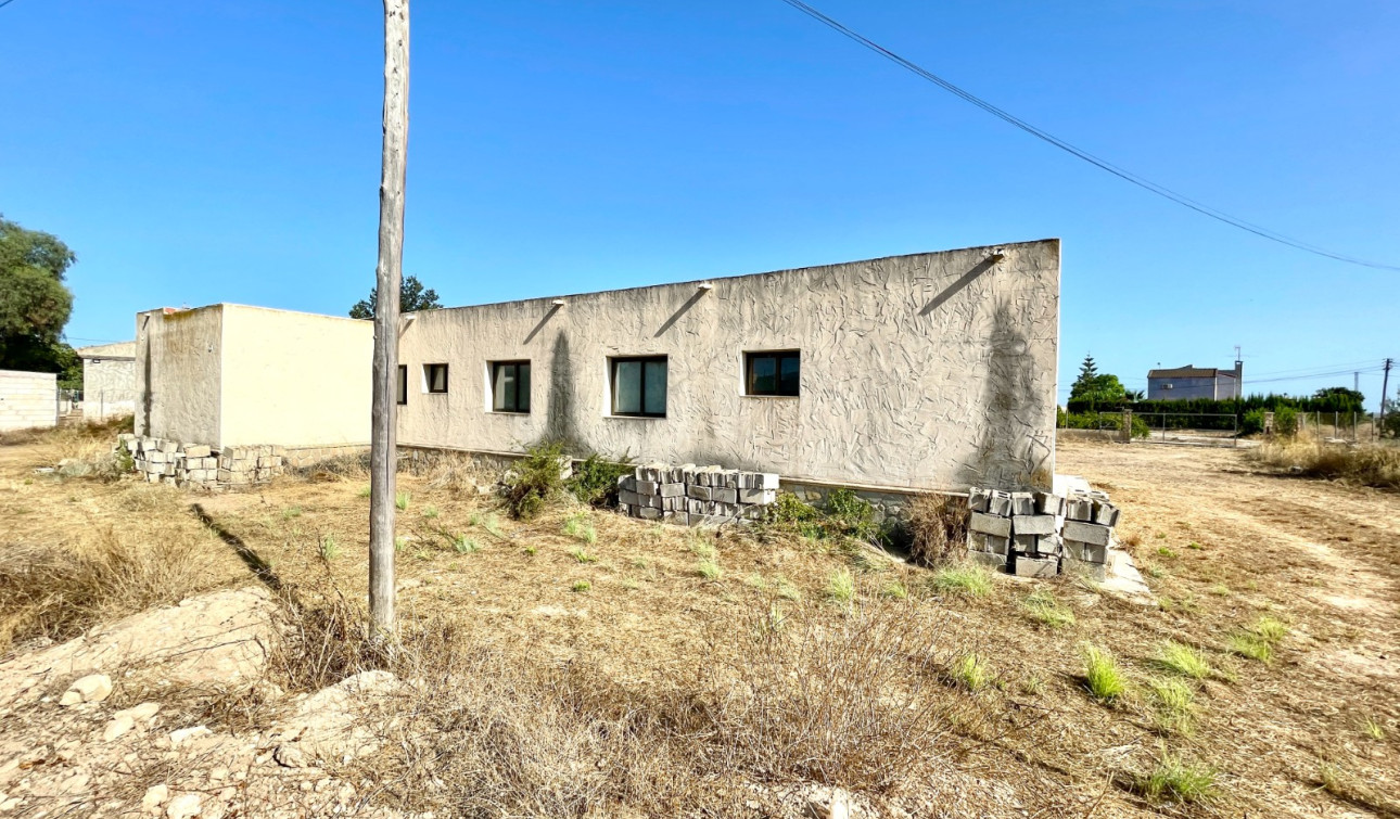 Herverkoop - Finca / Landgoed - Elche - Matola