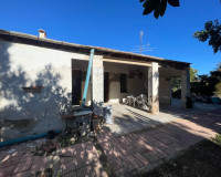 Herverkoop - Finca / Landgoed - Elche