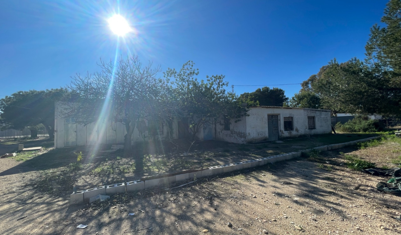 Herverkoop - Finca / Landgoed - Elche