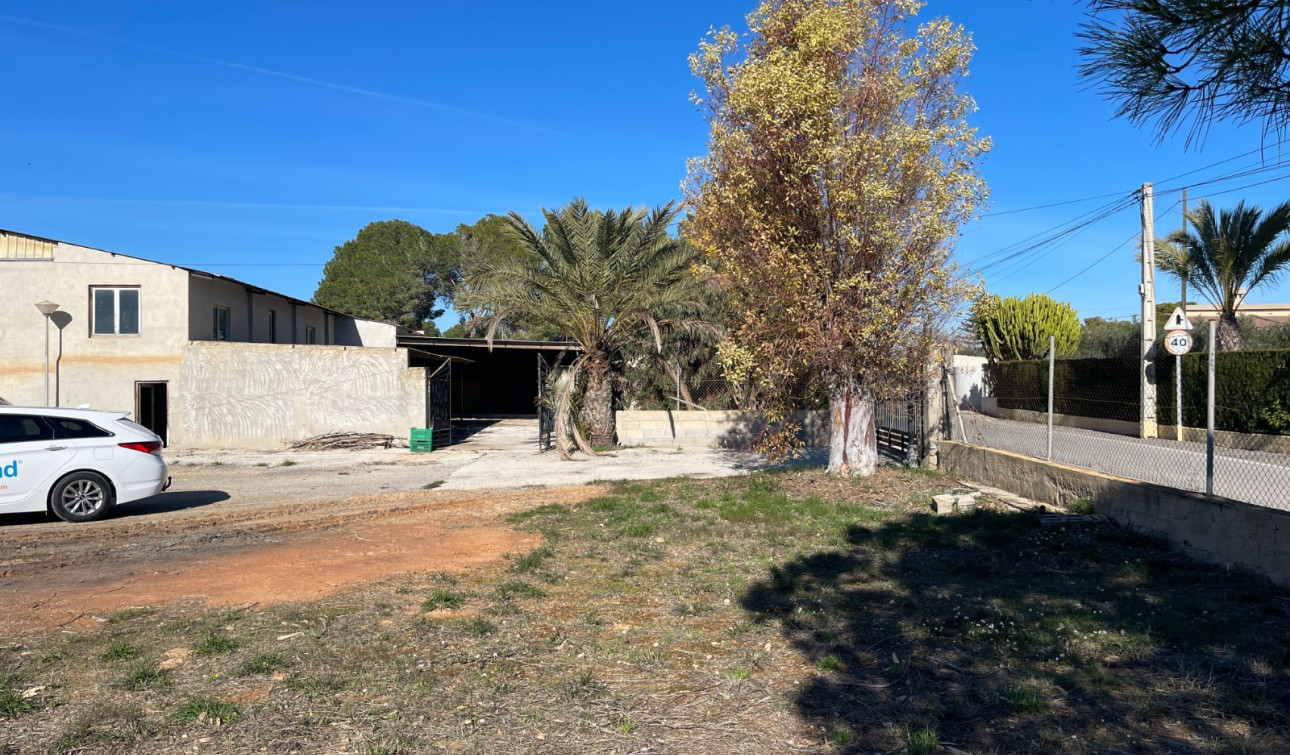 Herverkoop - Finca / Landgoed - Elche