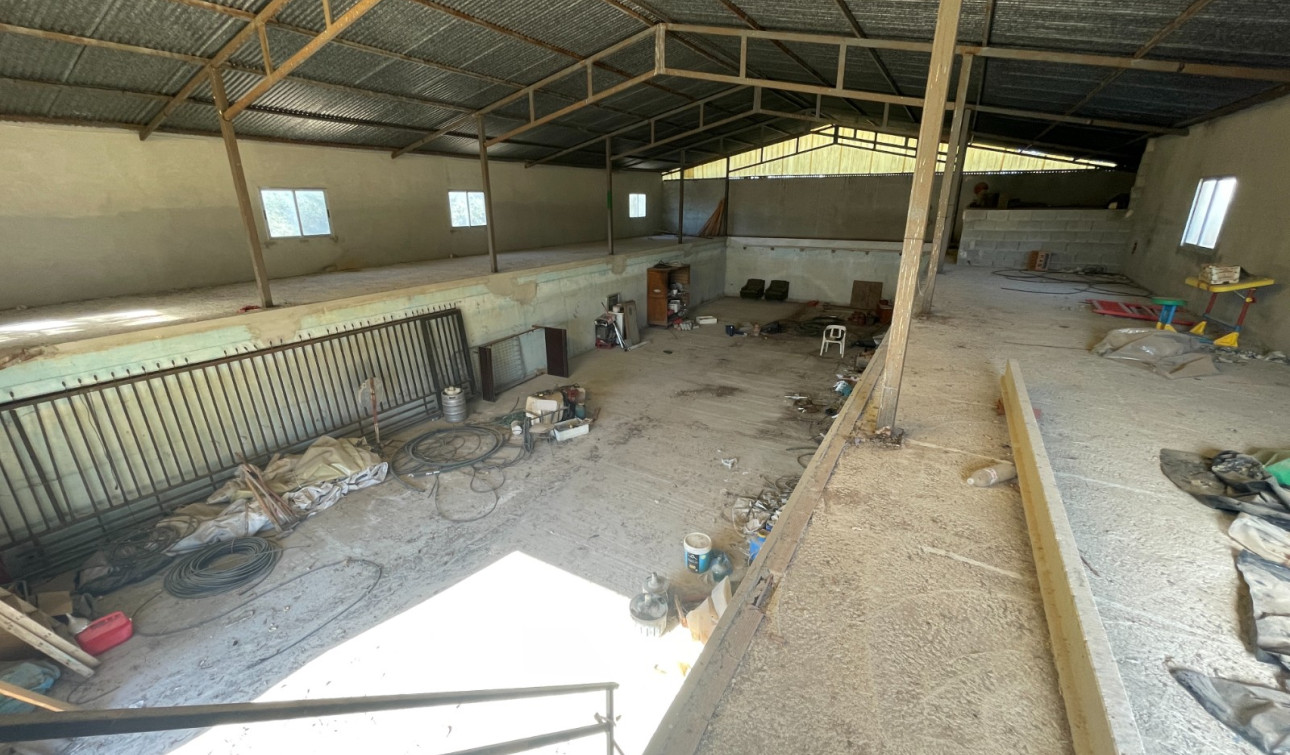 Herverkoop - Finca / Landgoed - Elche