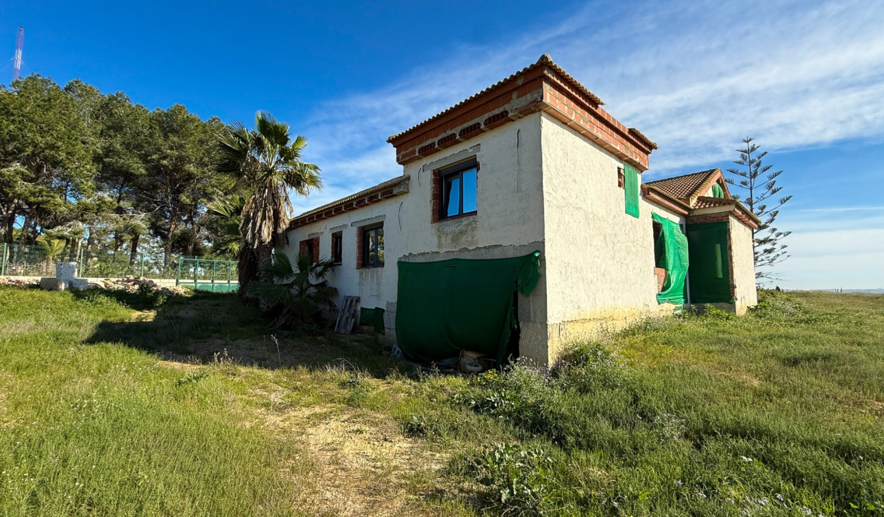 Herverkoop - Finca / Landgoed - Guardamar del Segura