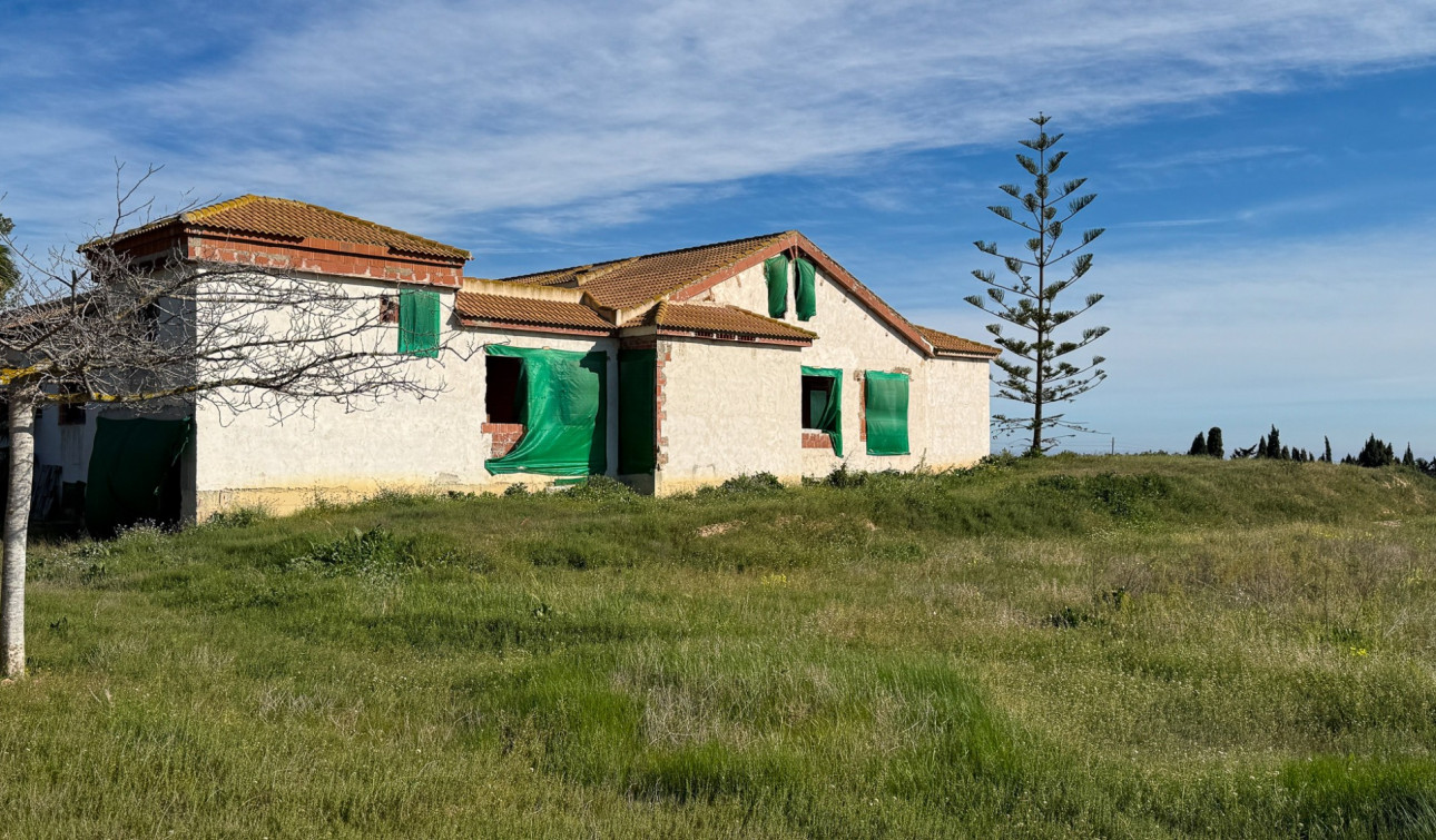 Herverkoop - Finca / Landgoed - Guardamar del Segura