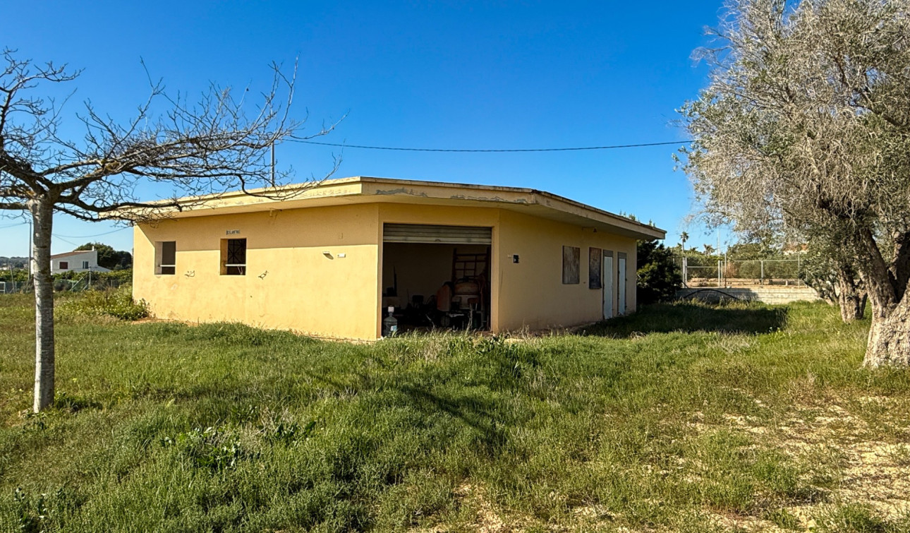 Herverkoop - Finca / Landgoed - Guardamar del Segura