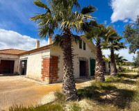 Herverkoop - Finca / Landgoed - Guardamar del Segura