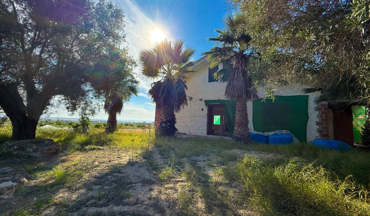 Herverkoop - Finca / Landgoed - Guardamar del Segura