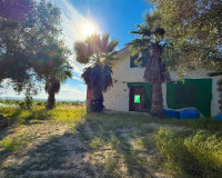 Herverkoop - Finca / Landgoed - Guardamar del Segura