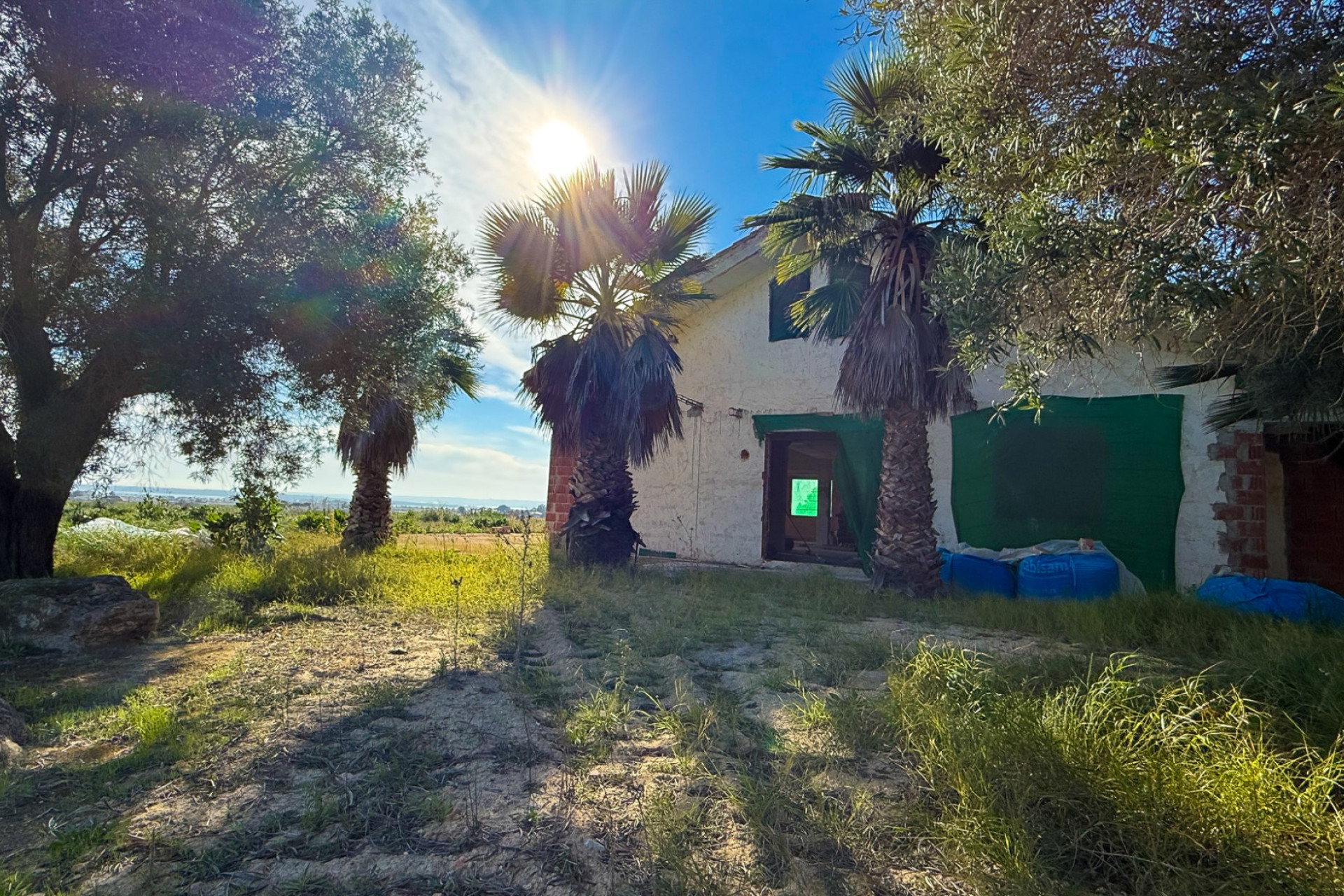 Herverkoop - Finca / Landgoed - Guardamar del Segura