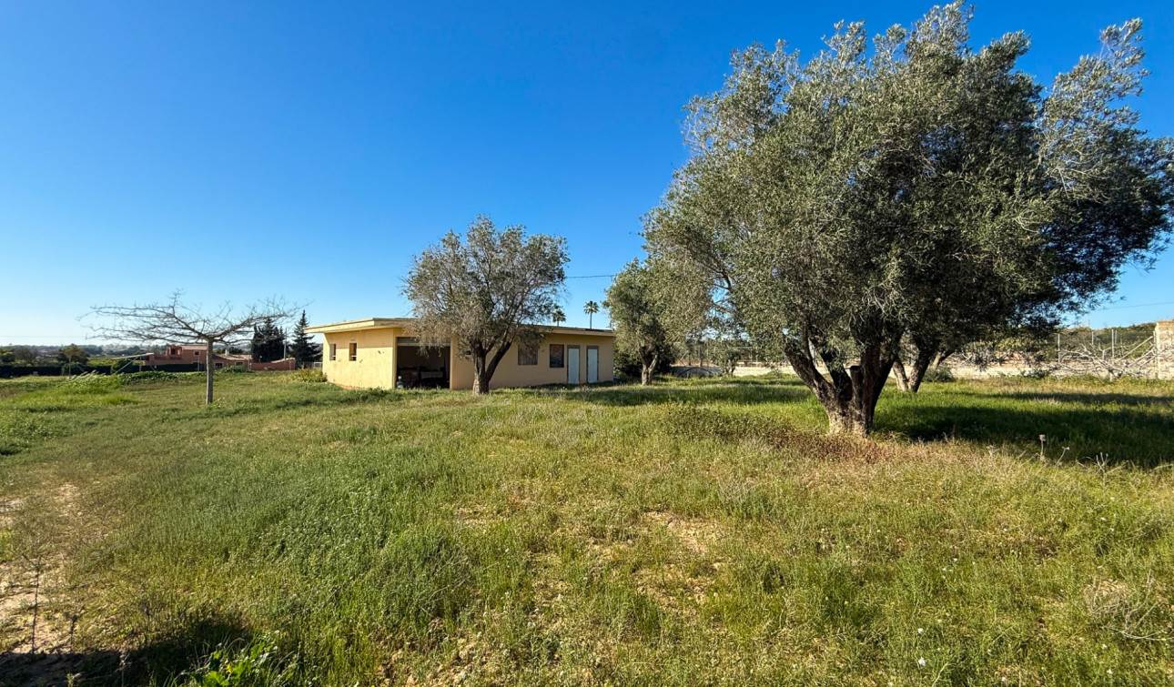 Herverkoop - Finca / Landgoed - Guardamar del Segura