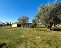 Herverkoop - Finca / Landgoed - Guardamar del Segura