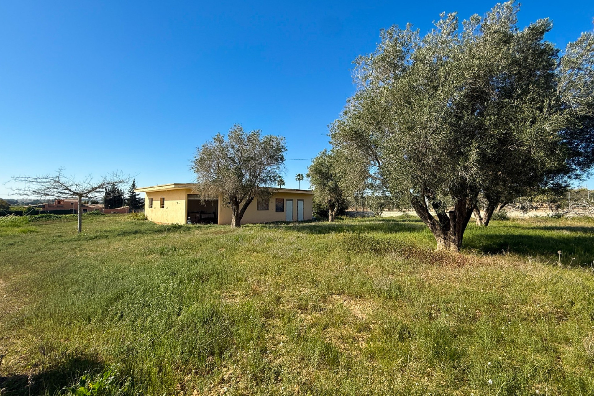 Herverkoop - Finca / Landgoed - Guardamar del Segura