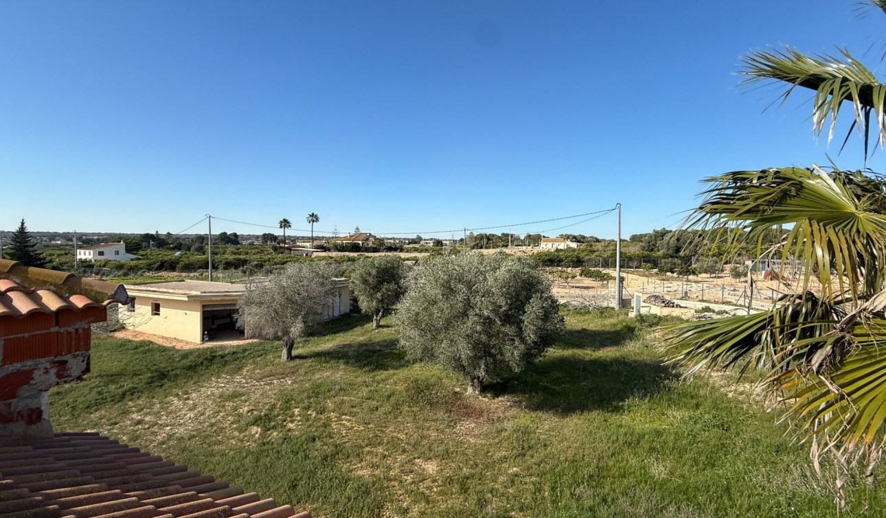 Herverkoop - Finca / Landgoed - Guardamar del Segura