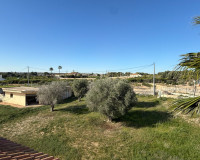 Herverkoop - Finca / Landgoed - Guardamar del Segura