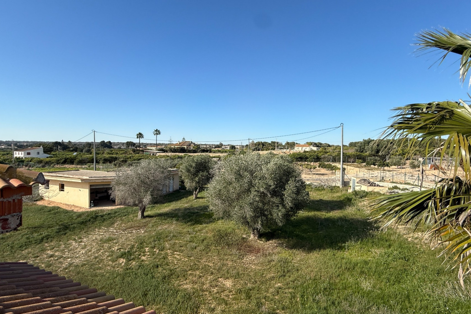 Herverkoop - Finca / Landgoed - Guardamar del Segura