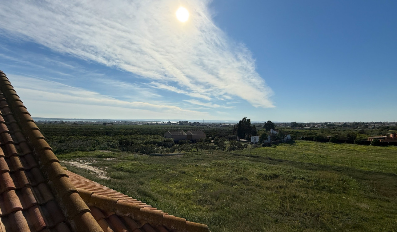 Herverkoop - Finca / Landgoed - Guardamar del Segura