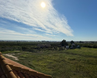 Herverkoop - Finca / Landgoed - Guardamar del Segura