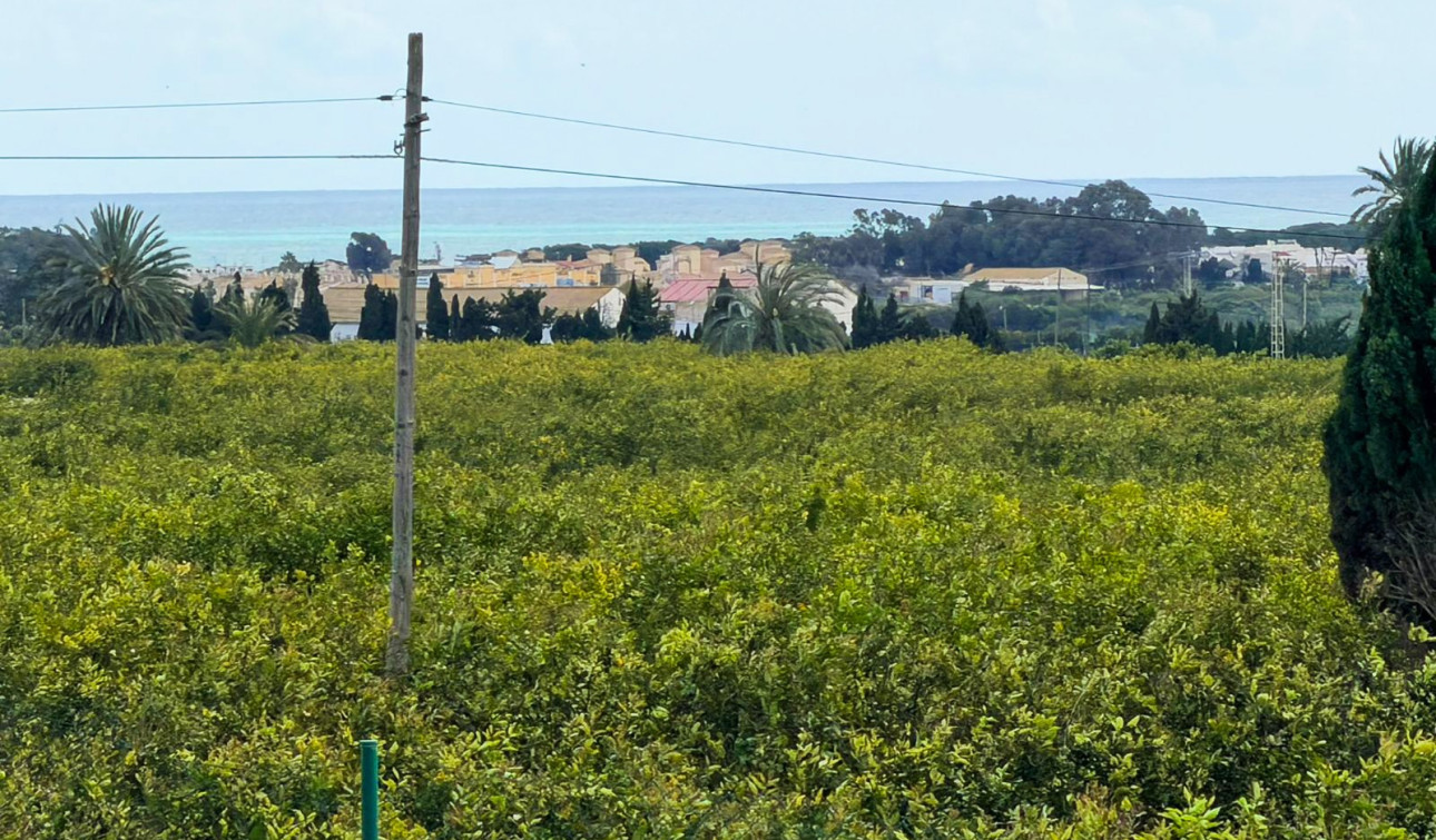 Herverkoop - Finca / Landgoed - Guardamar del Segura