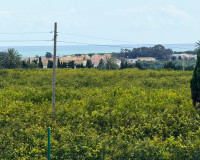Herverkoop - Finca / Landgoed - Guardamar del Segura
