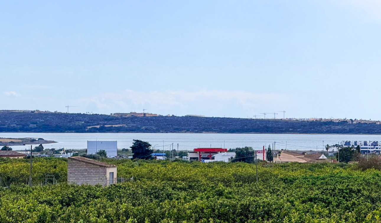 Herverkoop - Finca / Landgoed - Guardamar del Segura