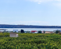 Herverkoop - Finca / Landgoed - Guardamar del Segura