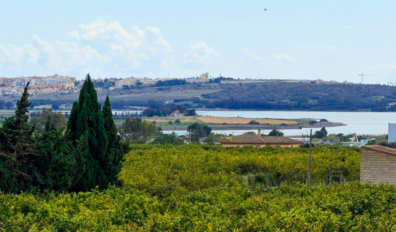 Herverkoop - Finca / Landgoed - Guardamar del Segura