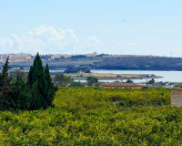 Herverkoop - Finca / Landgoed - Guardamar del Segura