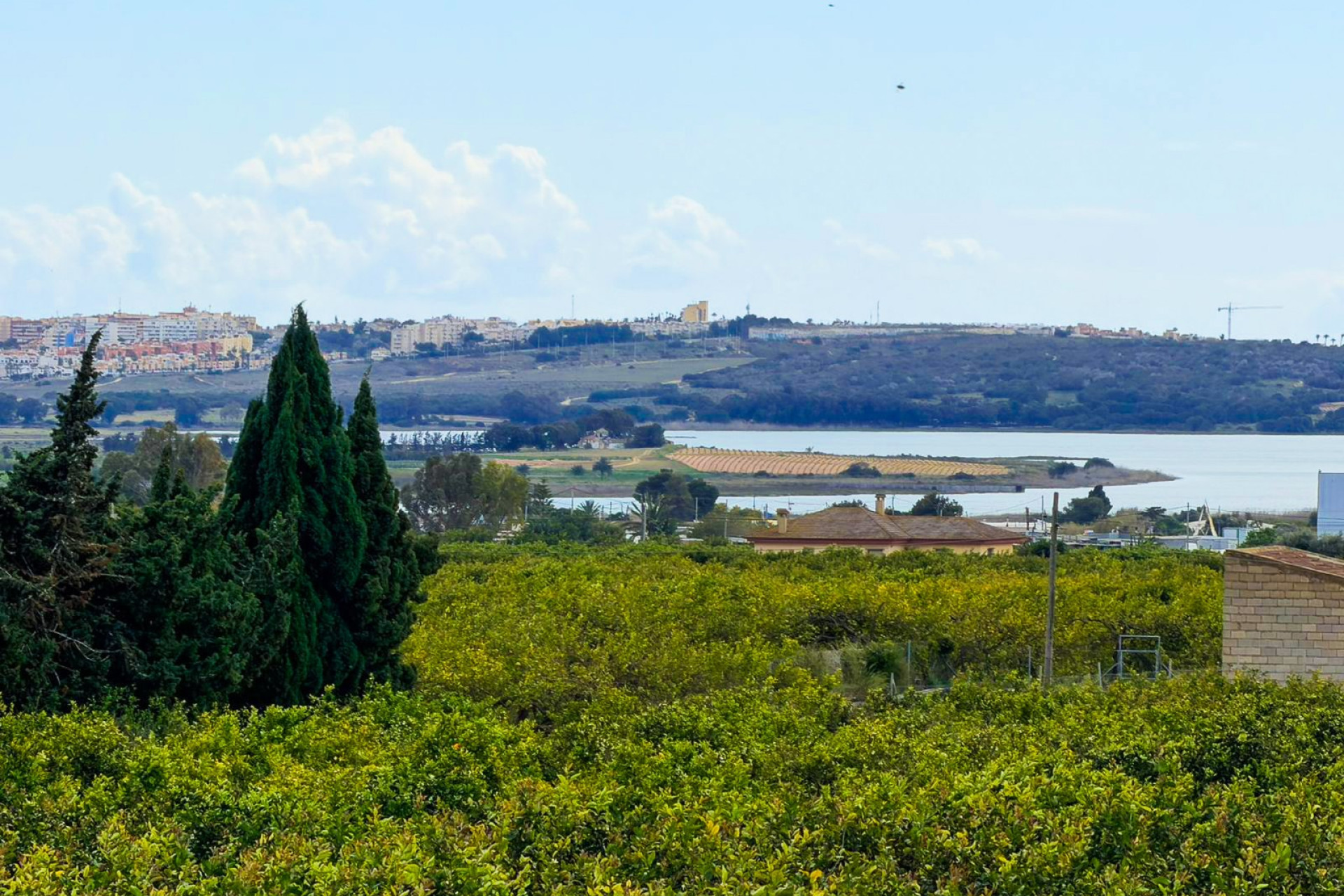 Herverkoop - Finca / Landgoed - Guardamar del Segura