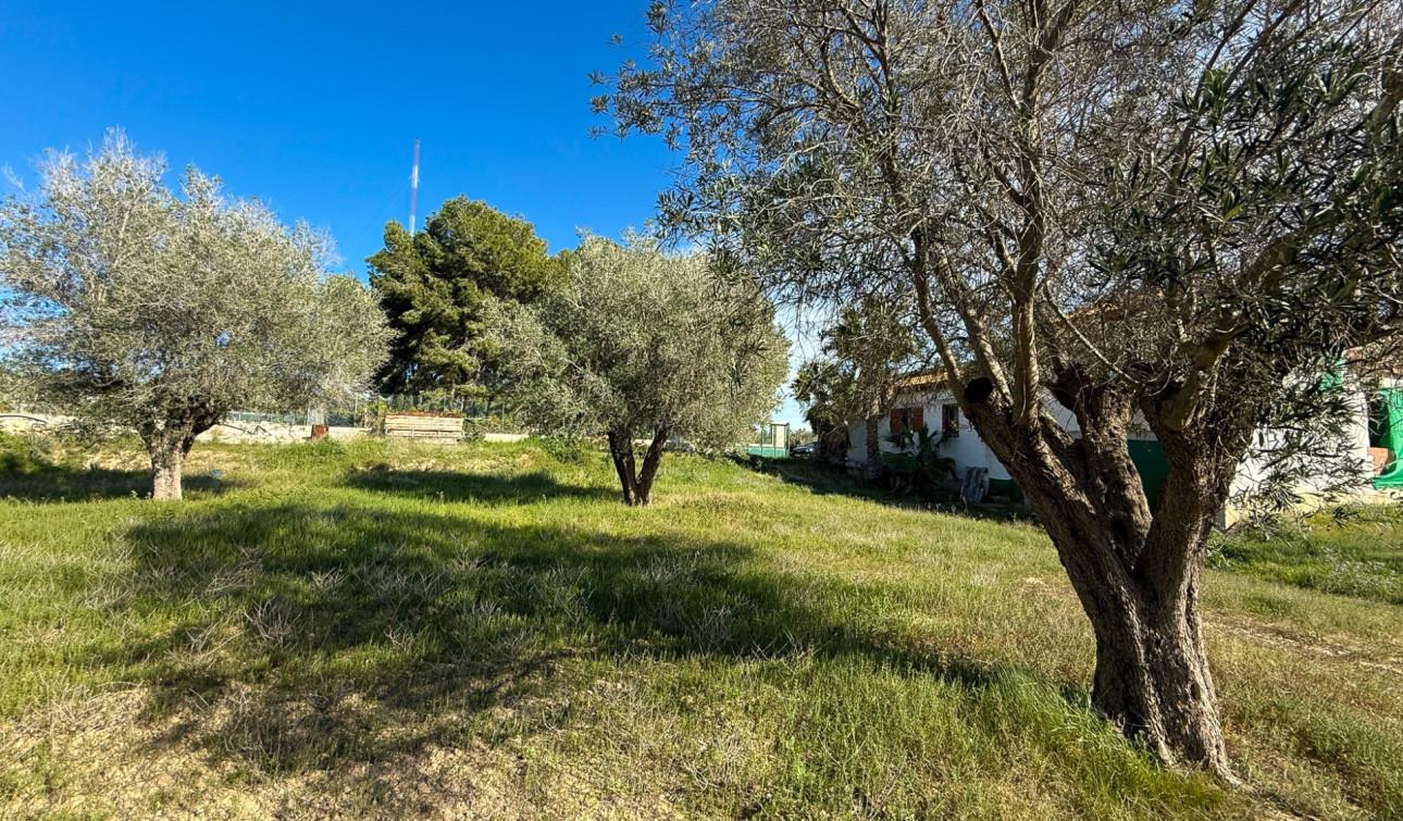 Herverkoop - Finca / Landgoed - Guardamar del Segura