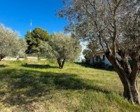 Herverkoop - Finca / Landgoed - Guardamar del Segura