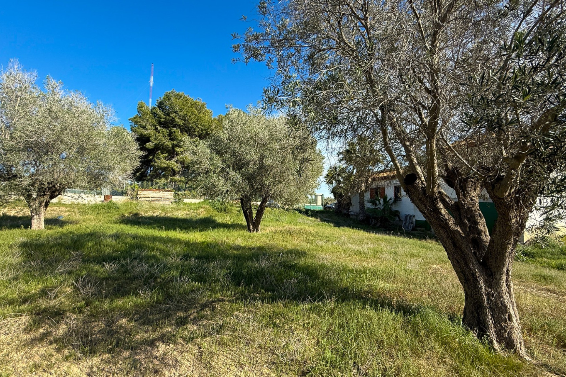 Herverkoop - Finca / Landgoed - Guardamar del Segura