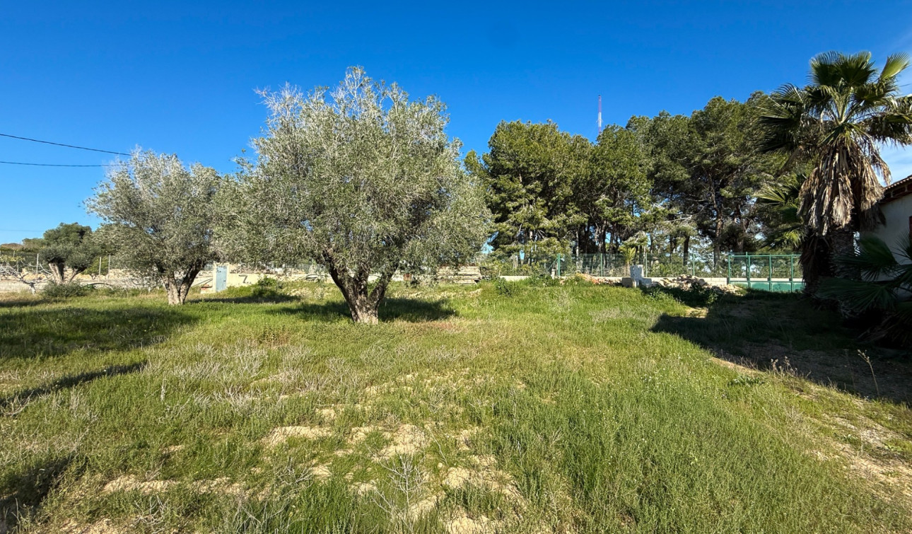 Herverkoop - Finca / Landgoed - Guardamar del Segura