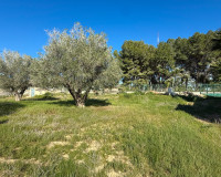 Herverkoop - Finca / Landgoed - Guardamar del Segura