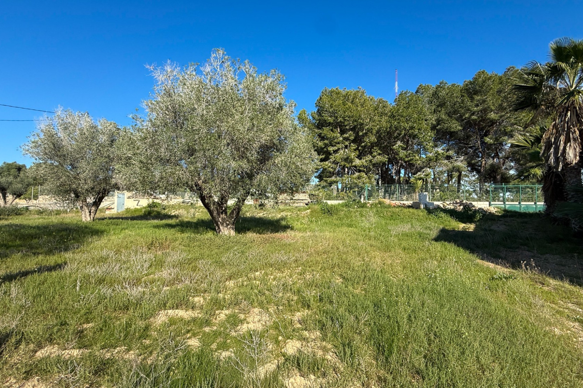 Herverkoop - Finca / Landgoed - Guardamar del Segura