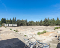 Herverkoop - Finca / Landgoed - Los Montesinos