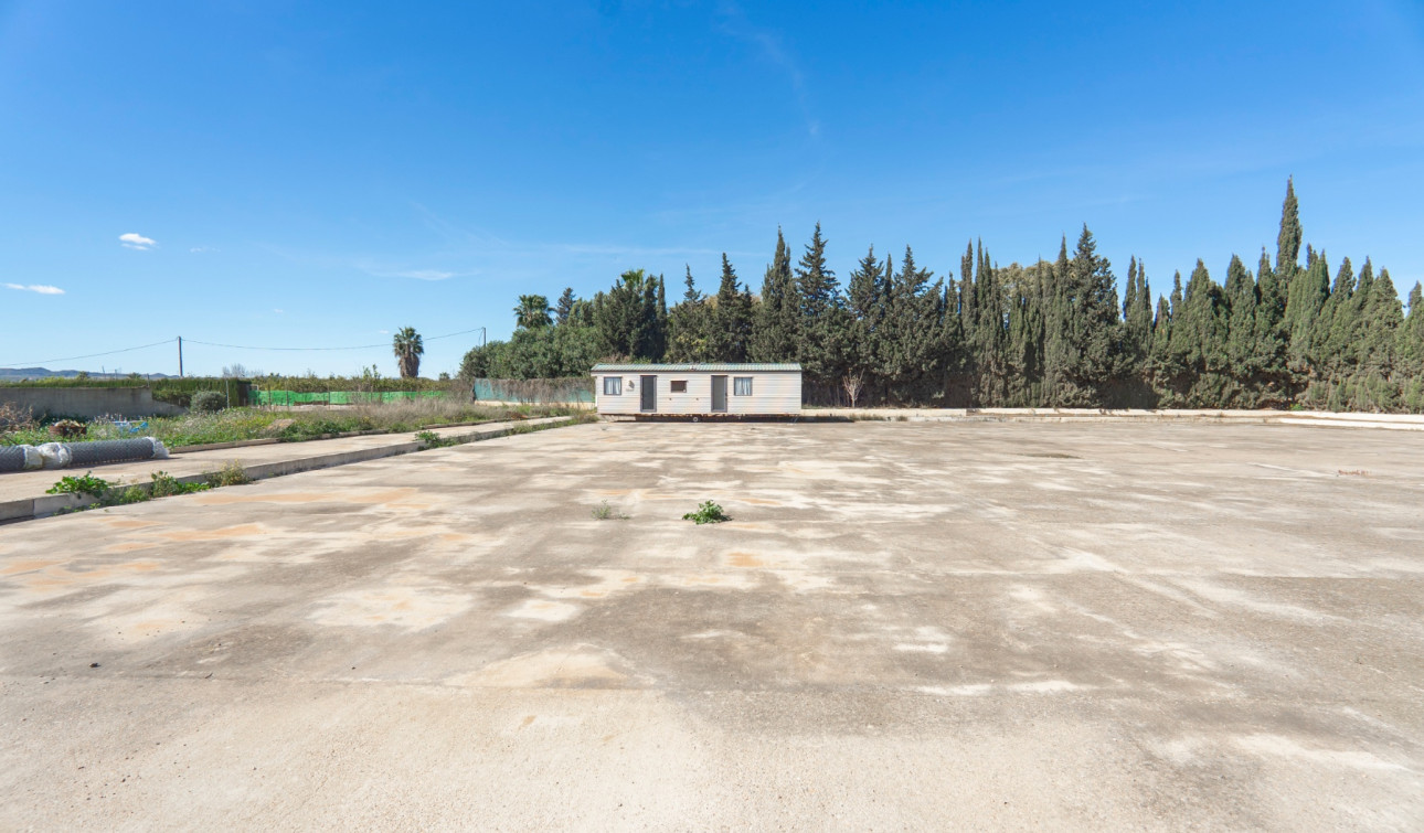 Herverkoop - Finca / Landgoed - Los Montesinos