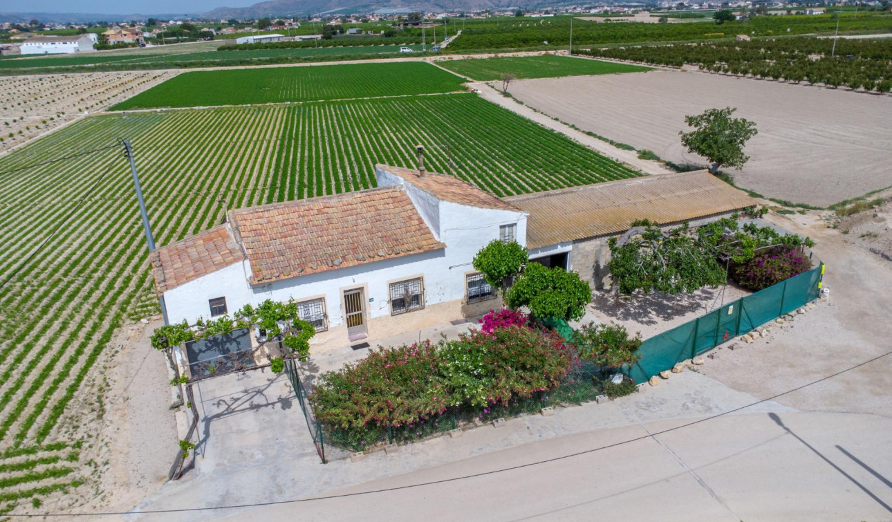Herverkoop - Finca / Landgoed - Orihuela - Desamparados-Hurchillo-Torremendo