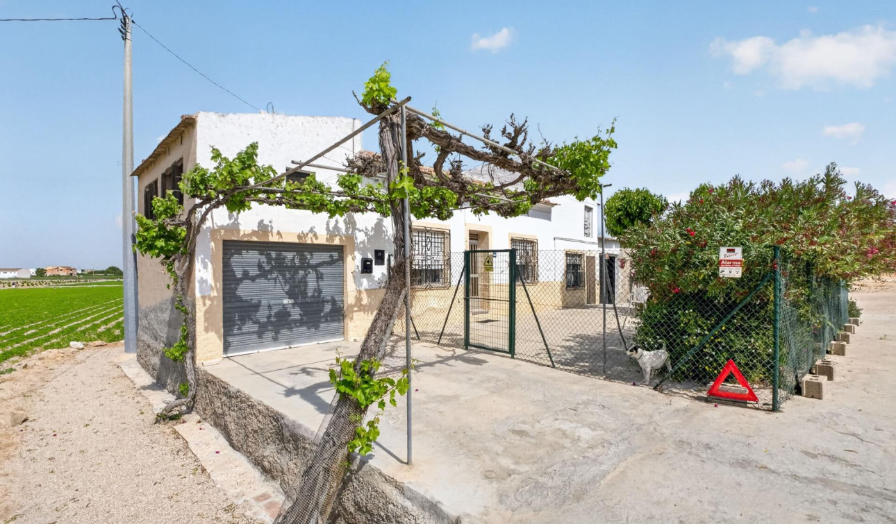 Herverkoop - Finca / Landgoed - Orihuela - Desamparados-Hurchillo-Torremendo
