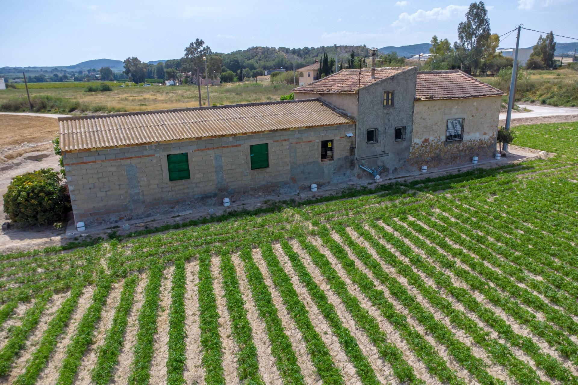 Herverkoop - Finca / Landgoed - Orihuela - Desamparados-Hurchillo-Torremendo