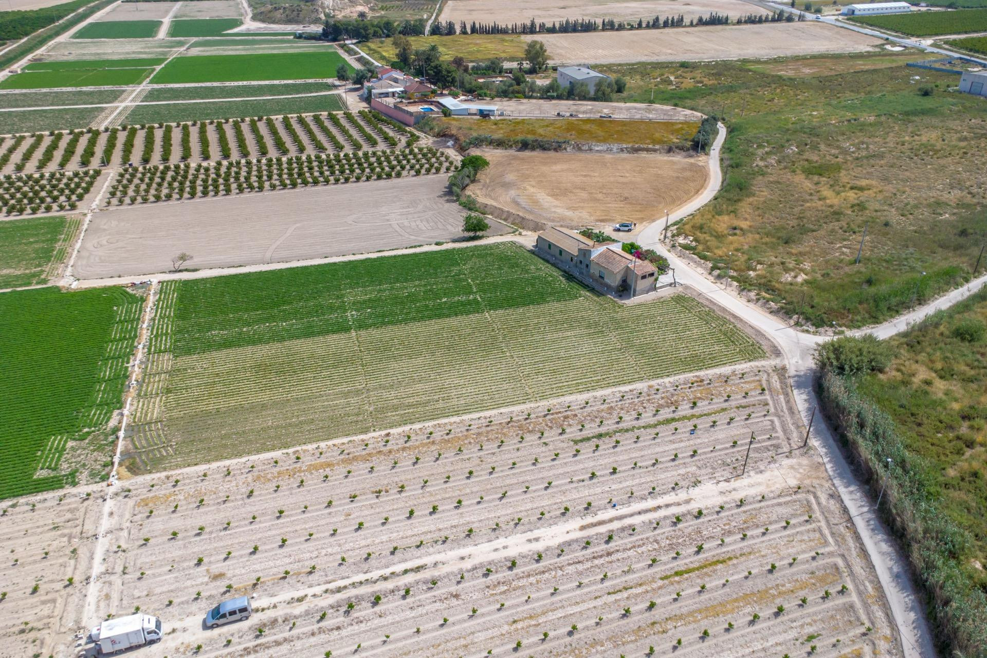 Herverkoop - Finca / Landgoed - Orihuela - Desamparados-Hurchillo-Torremendo