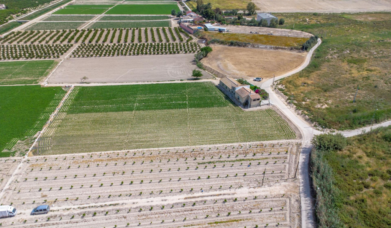 Herverkoop - Finca / Landgoed - Orihuela - Desamparados-Hurchillo-Torremendo