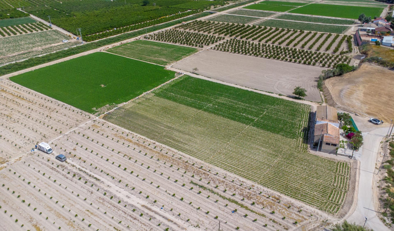 Herverkoop - Finca / Landgoed - Orihuela - Desamparados-Hurchillo-Torremendo