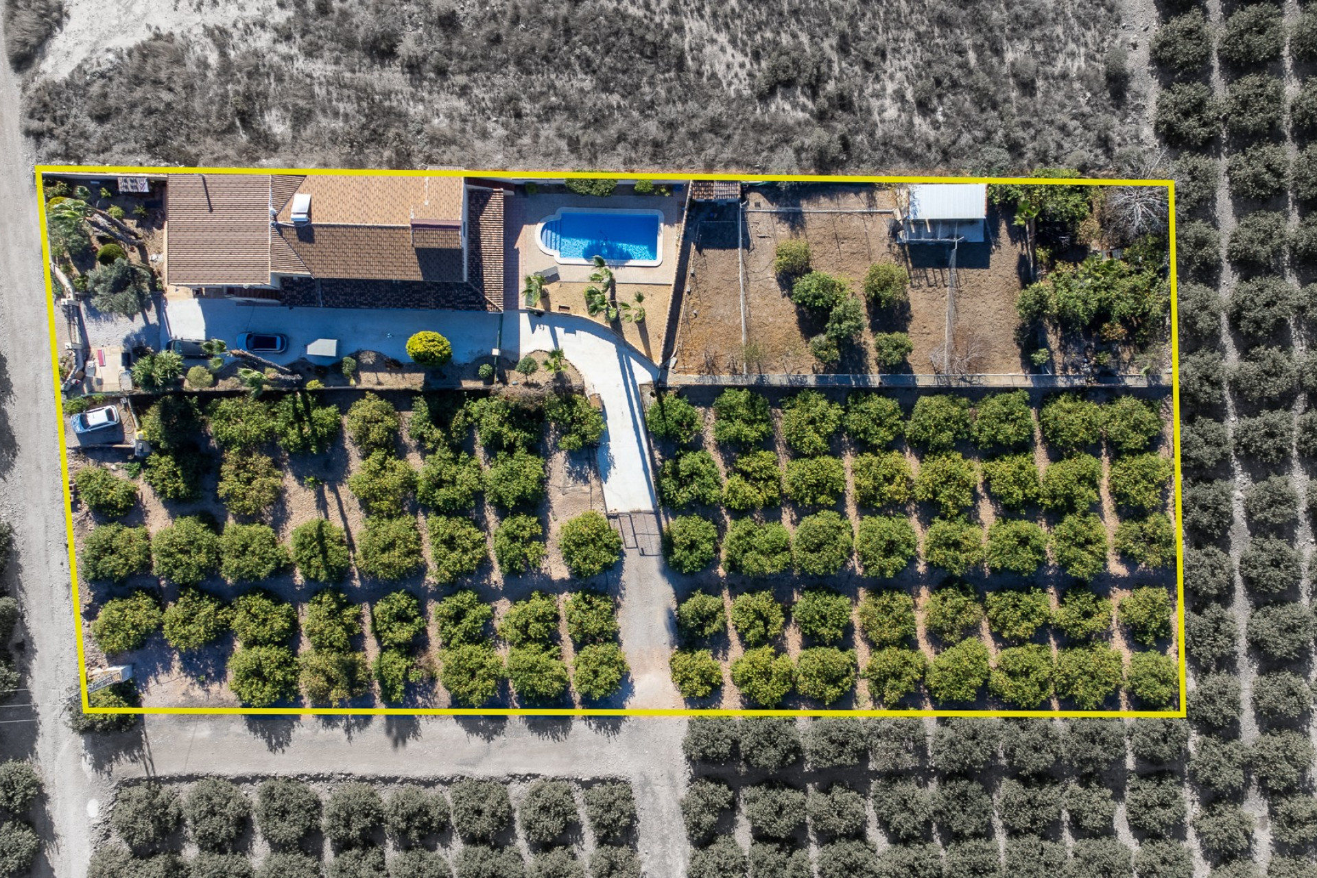 Herverkoop - Finca / Landgoed - Orihuela - La Matanza