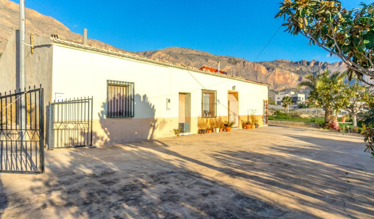 Herverkoop - Finca / Landgoed - Orihuela - Raiguero de Bonanza