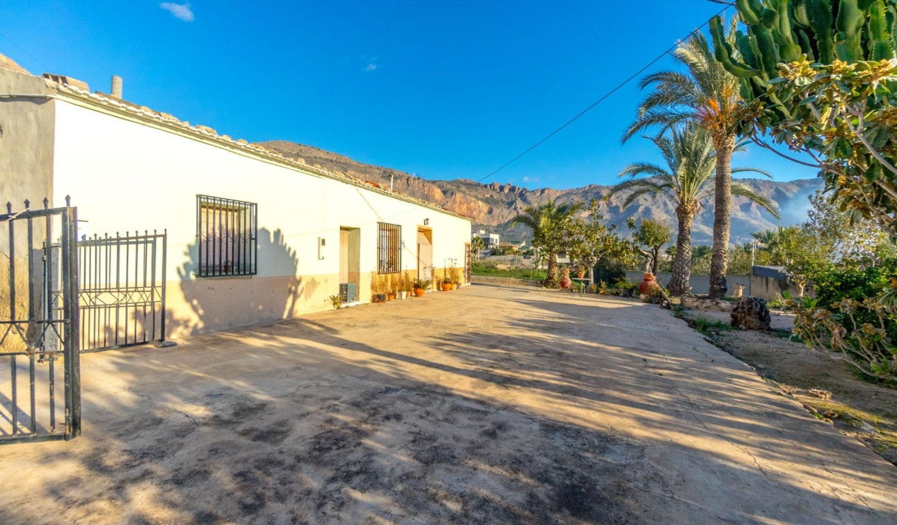 Herverkoop - Finca / Landgoed - Orihuela - Raiguero de Bonanza