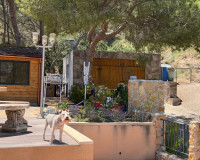 Herverkoop - Finca / Landgoed - Orihuela - Torremendo