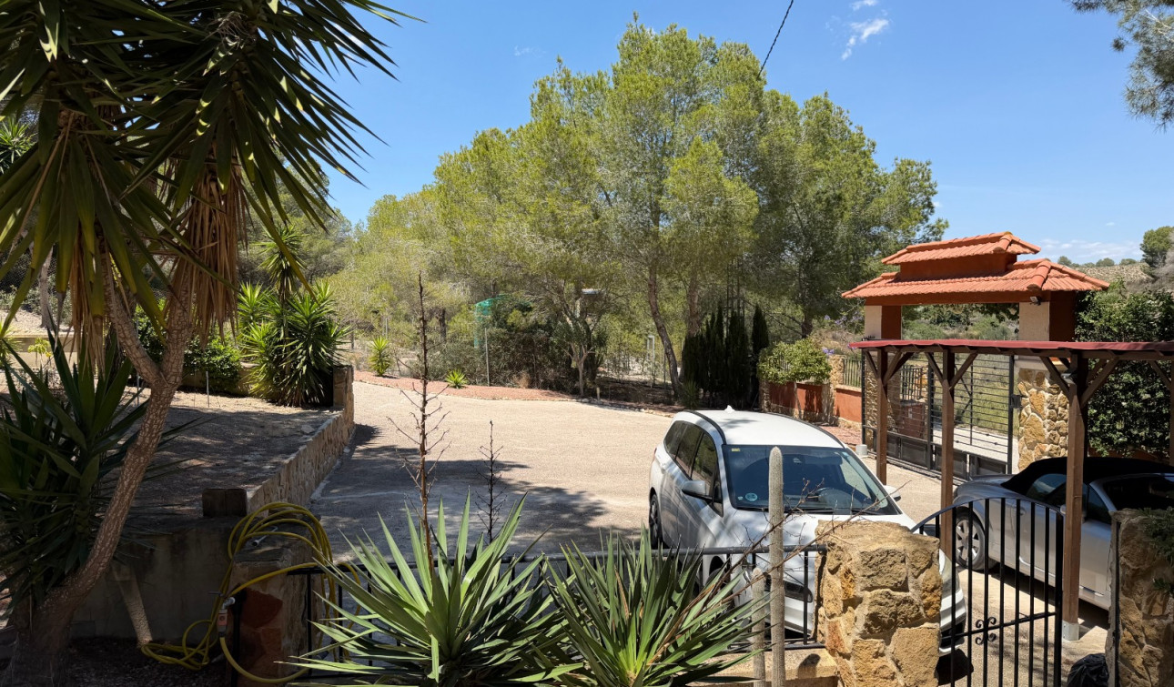 Herverkoop - Finca / Landgoed - Orihuela - Torremendo